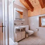 Alpenhotel Zur Wildi Hotel 3*
