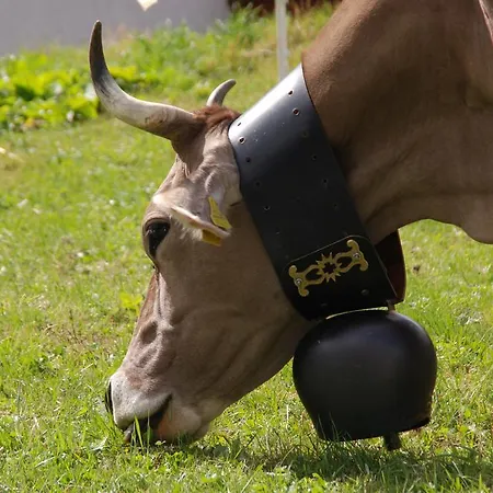 Alpenhotel Zur Wildi Lauchernalp Wiler