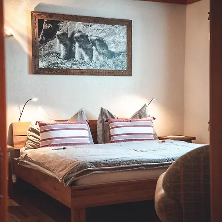 Hotel Alpenhotel Zur Wildi 3*