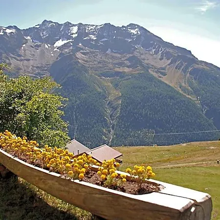 酒店 Alpenhotel Zur Wildi Lauchernalp Wiler