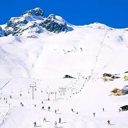 酒店 Alpenhotel Zur Wildi Lauchernalp