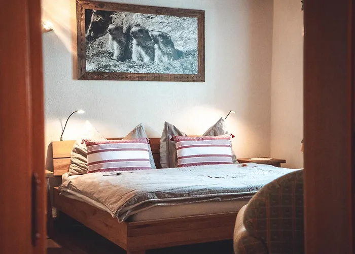 Hotel Alpenhotel Zur Wildi 3*