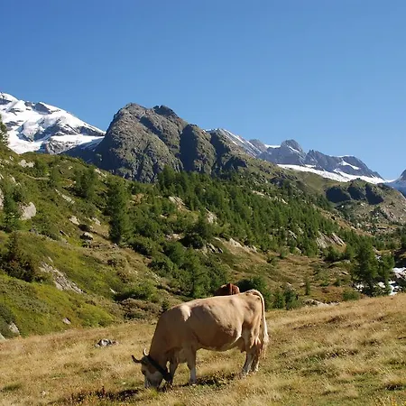 Hotel Alpenhotel Zur Wildi Lauchernalp