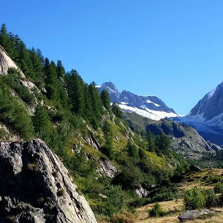 Hotel Alpenhotel Zur Wildi Lauchernalp Wiler