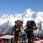 Hotel Alpenhotel Zur Wildi Lauchernalp 3*