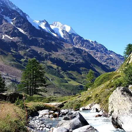 酒店 Alpenhotel Zur Wildi Lauchernalp